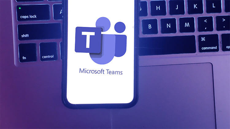 在Microsoft Teams官网获取专业支持